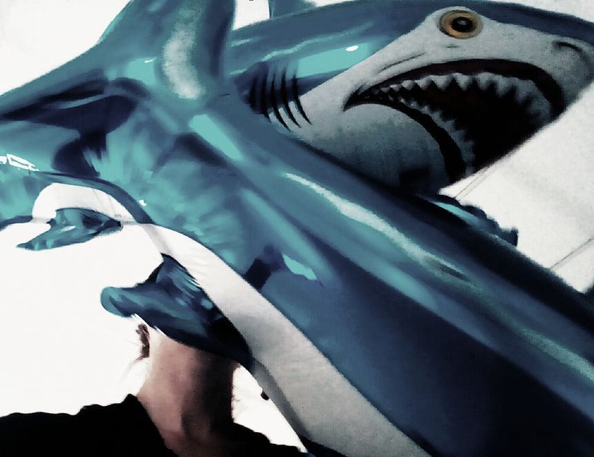 Перформанс "NOTHING CAN GO WRONG" - четвртак 27. фебруар 2020. у 19:30 часова