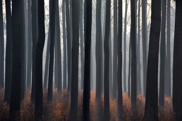 Exposition &laquo; Ecovision &raquo;